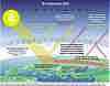 The greenhouse effect