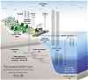 The present carbon cycle