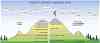 Impact on mountain vegetation zones