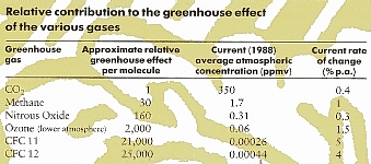 Greenhouse Effects